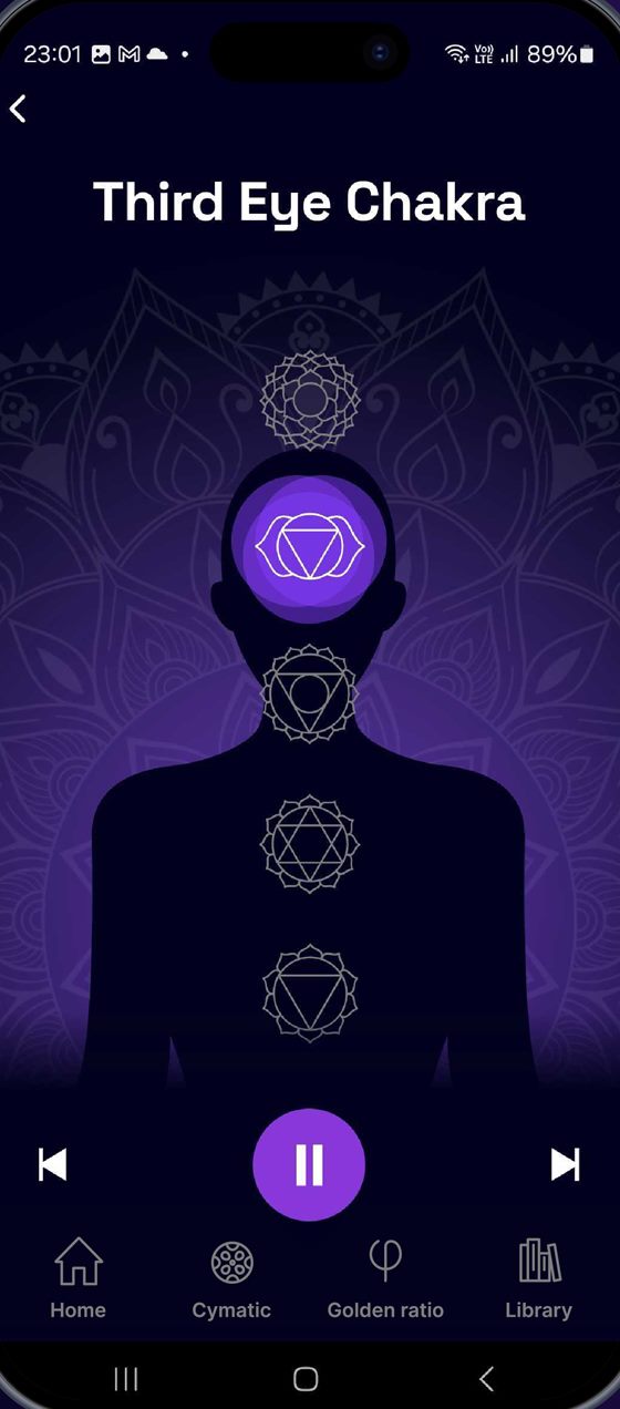 Third Eye Chakra screen with the chakras shown along a meditating figure